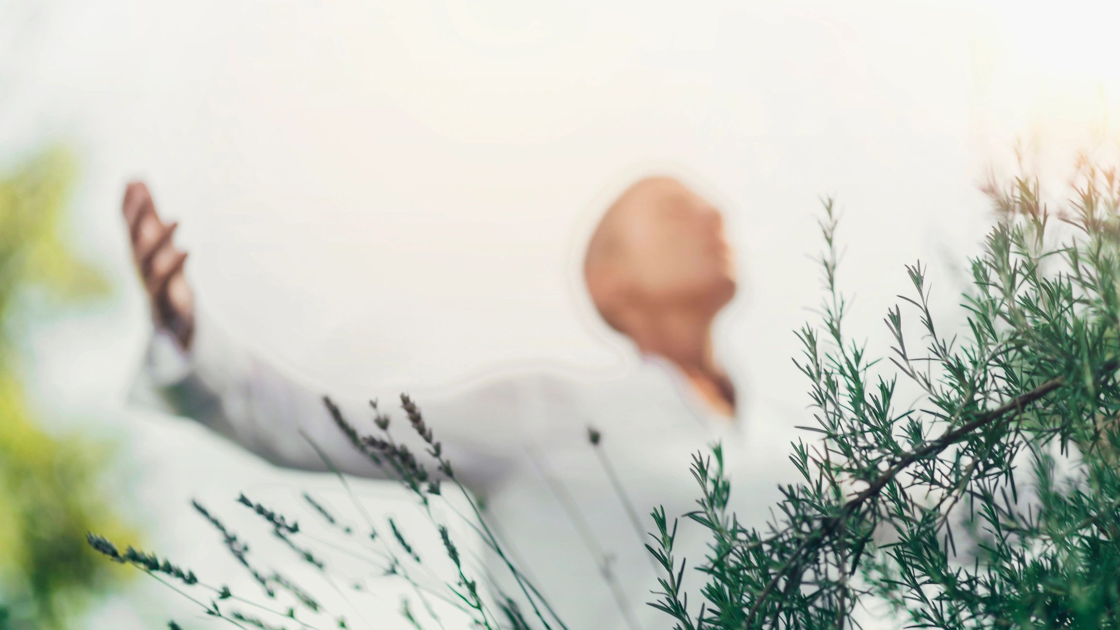 calm nature therapy psychology